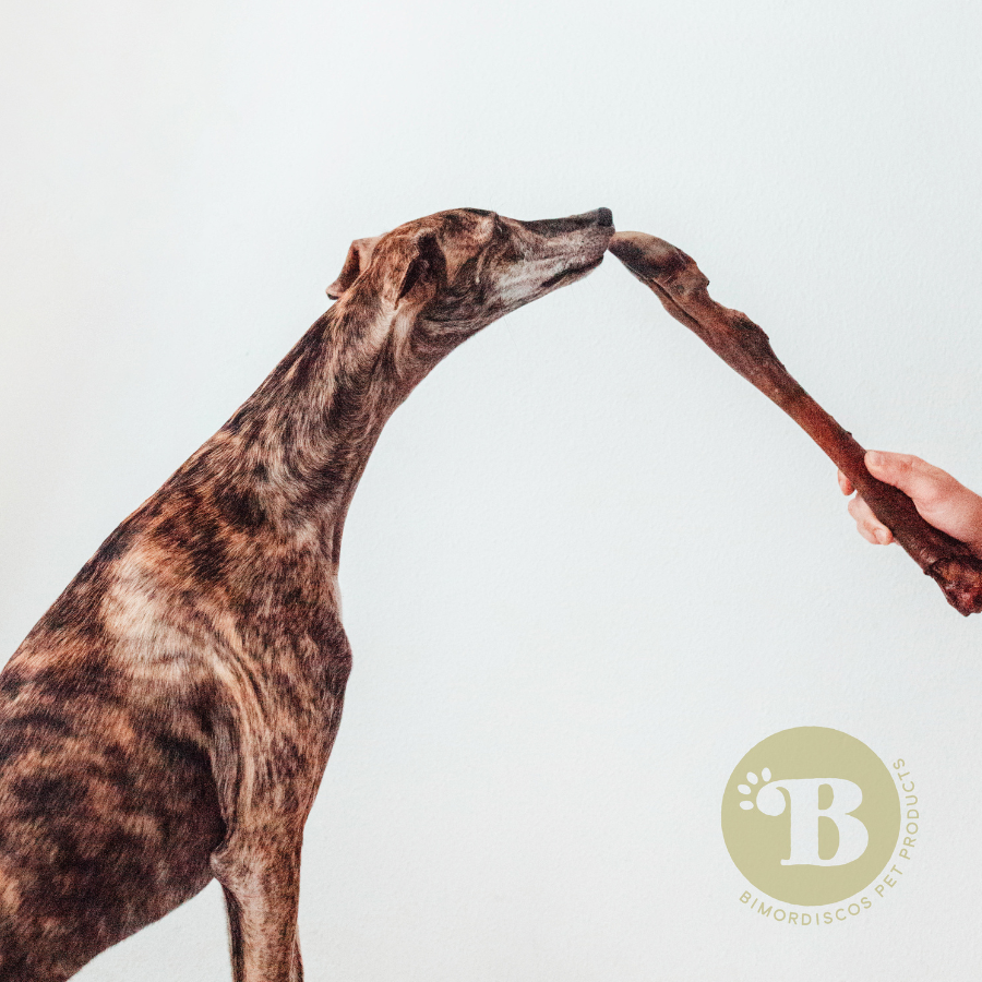 BIMORDISCOS Pata deshidratada de ciervo para perros, , large Imagen numero 3